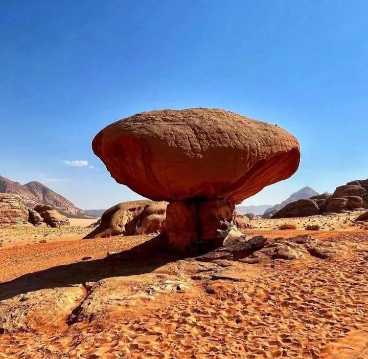 עקבה Wadi Rum Calma Camp