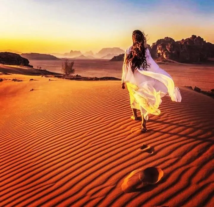 עקבה Wadi Rum Calma Camp 0*,  ירדן