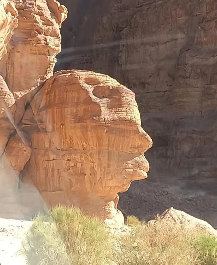עקבה Wadi Rum Calma Camp 0*,  ירדן